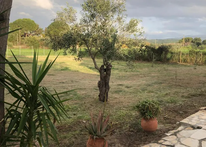 Seaside Retreat House Villa Kakovatos (Elis)